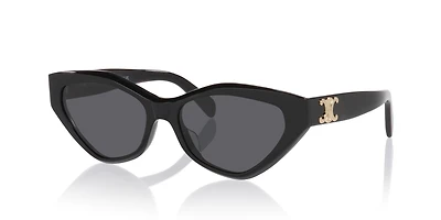 Celine Triomphe CL40323U