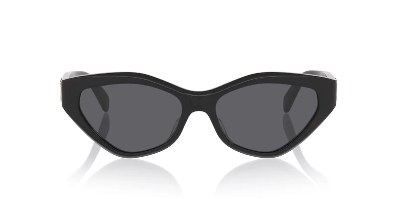 Celine Triomphe CL40323U