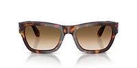 PO0091S