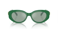 SK6002