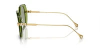 SK6011