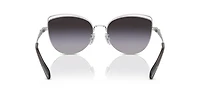 HC7162 CR621