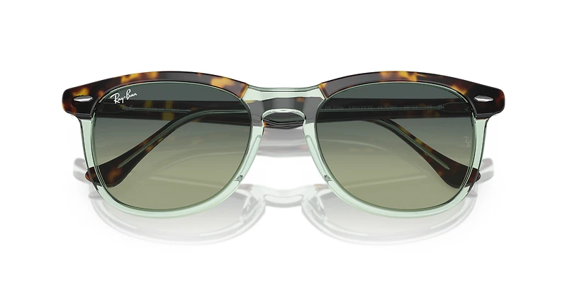RB2398 Eagle Eye