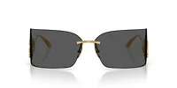 DG2319