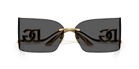 DG2319