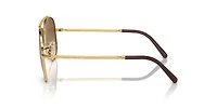 RB3625 New Aviator
