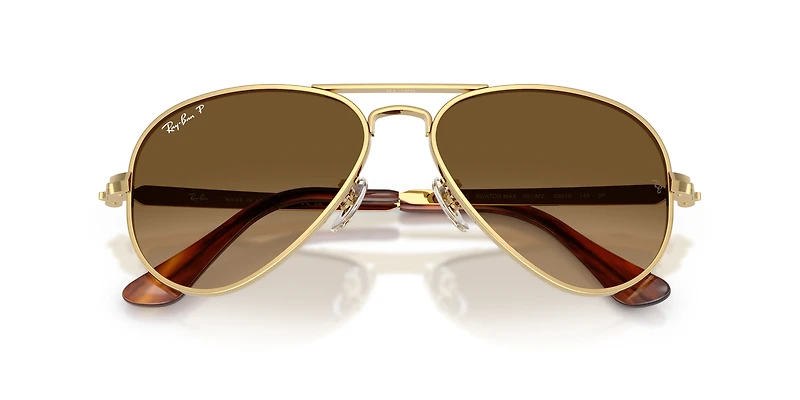 RB3925 Aviator Max