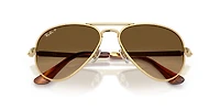 RB3925 Aviator Max