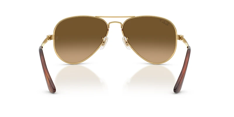 RB3925 Aviator Max