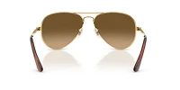RB3925 Aviator Max