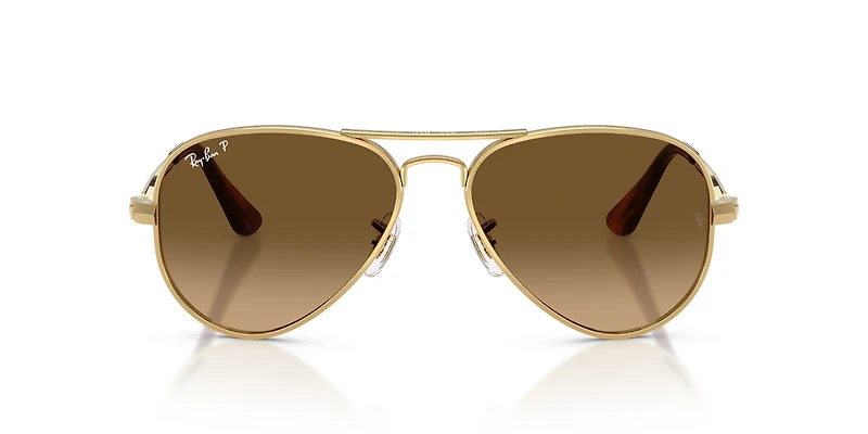 RB3925 Aviator Max