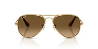 RB3925 Aviator Max