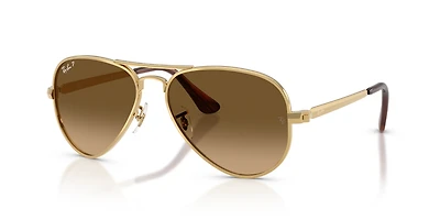 RB3925 Aviator Max