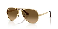 RB3925 Aviator Max