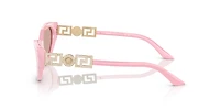 VE4470B