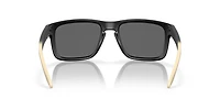 OO9102 Standard Issue Holbrook™ Veterans Collection