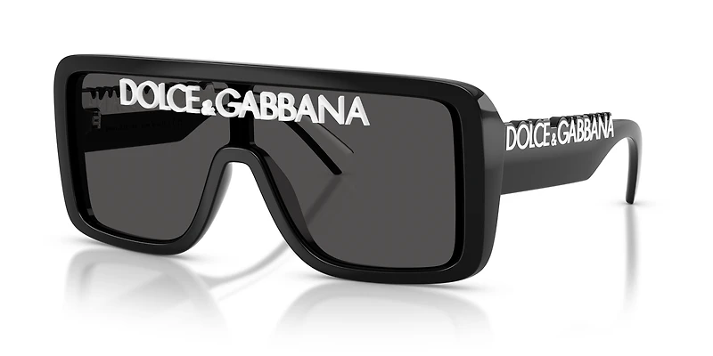 DG6204