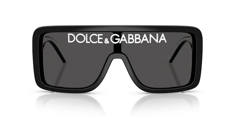 DG6204