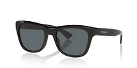 SL816