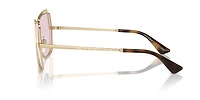 DG2306