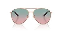 HC7169 CW193