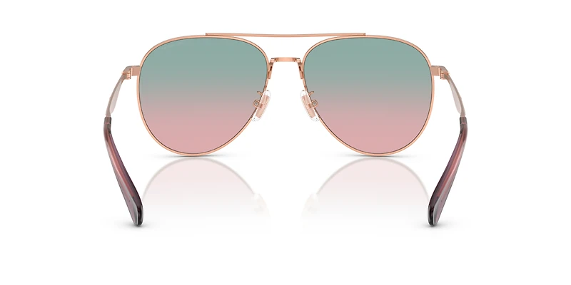 HC7169 CW193