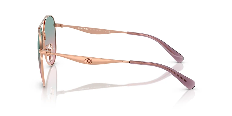 HC7169 CW193