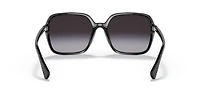 RA5291U