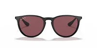 RB4171 Erika Classic