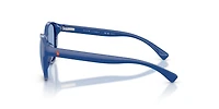 PP9509U