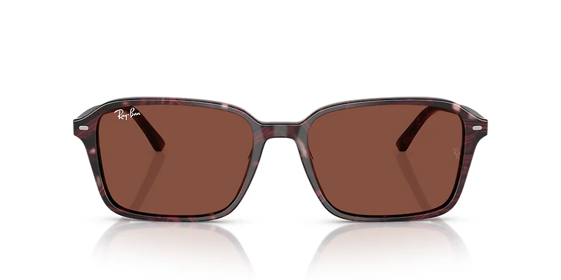 RB2231 Raimond