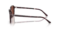 RB2231 Raimond