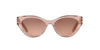 DiorSignature B7I