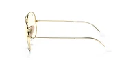 RB3025 Aviator Clear Evolve
