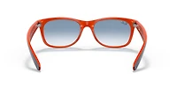 RB2132 New Wayfarer Color Mix