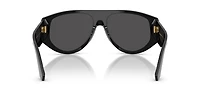 DG4499