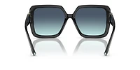 TF4206U