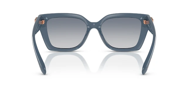 Designer Glasses Sunglass Hut Georgetown Sale Sunglass Hut Tanger