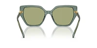 SK6016