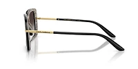 DG4491