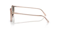 OV5183S O'Malley Sun