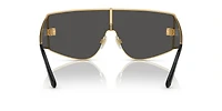DG2305