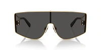 DG2305