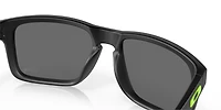 OO9102 Seattle Seahawks Holbrook™