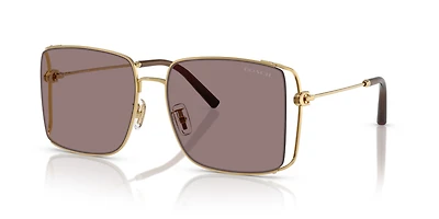 HC7174D CW429