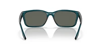 6S9081 Palmas