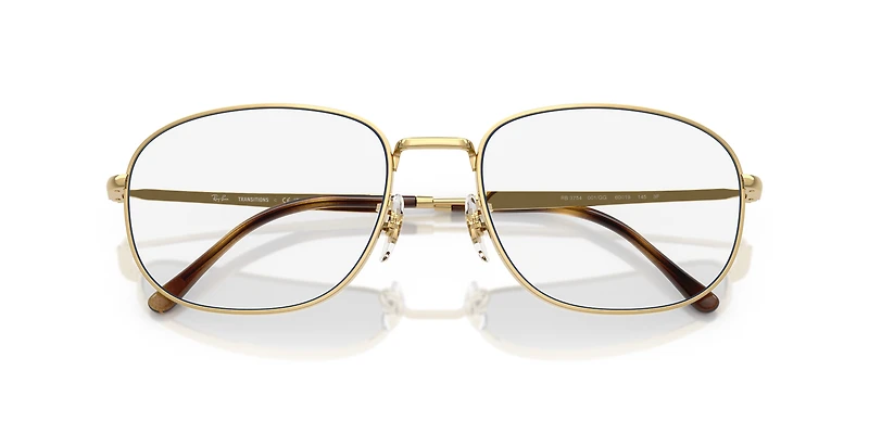 RB3754 Transitions®