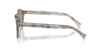 BC4006S