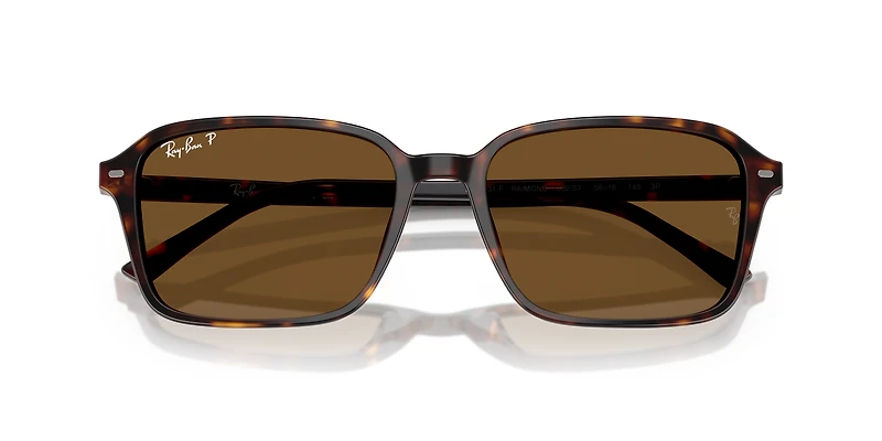 RB2231F Raimond