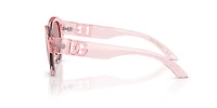 DX6010